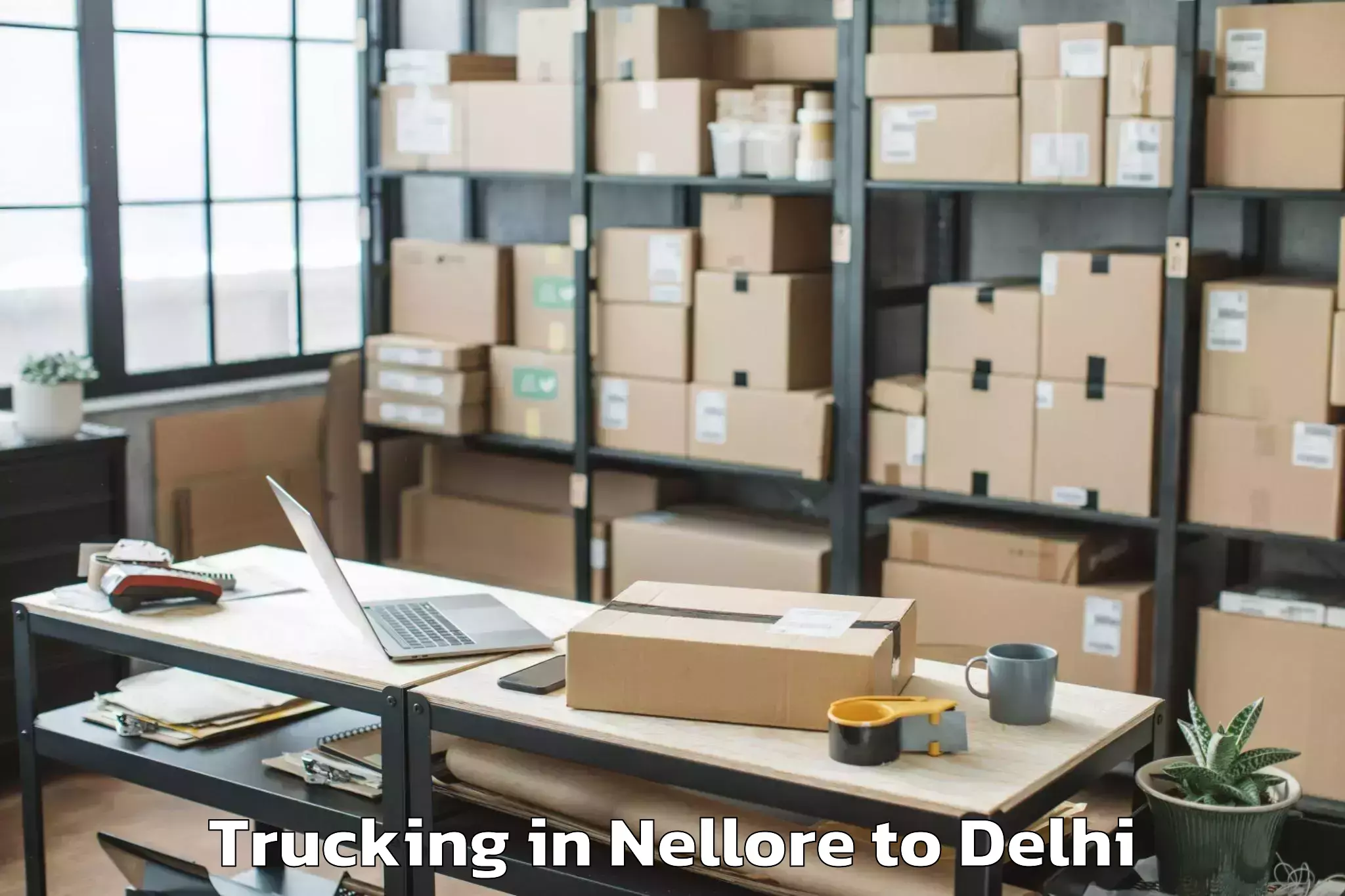 Professional Nellore to Parsvnath Mall Akshardham Trucking